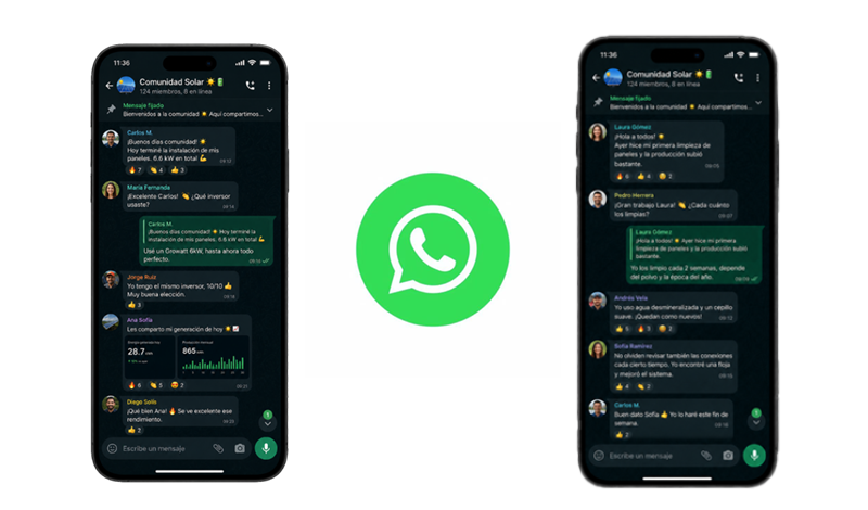 Grupo WhatsApp